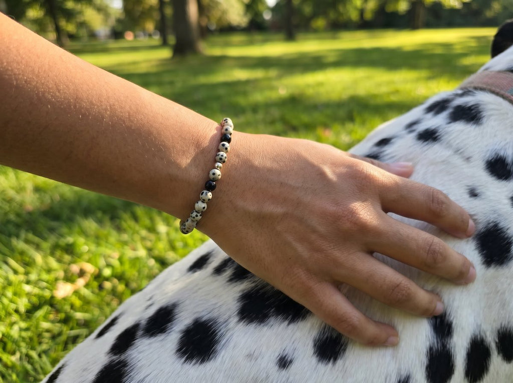 Dalmatian Jasper & Black Onyx Bead Bracelet – Gold Accent – 7.5" Stretch